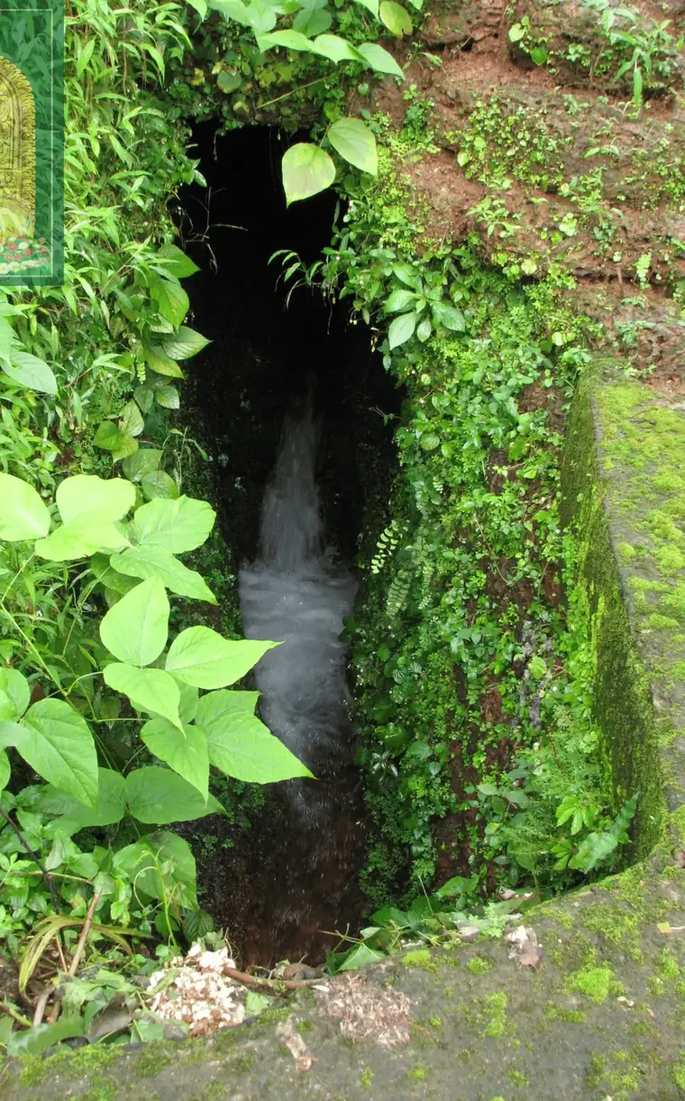 An overgrown stone passage beneath the temple